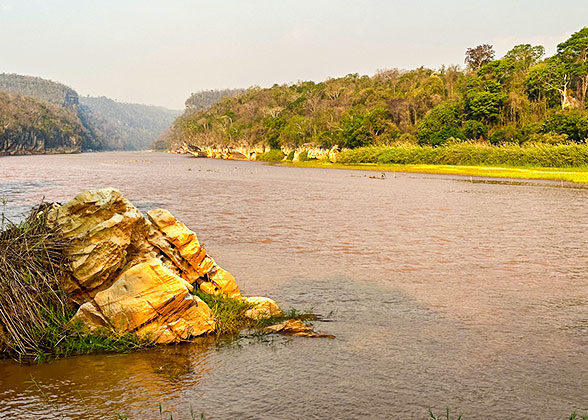 Muddy River in Rainy Season