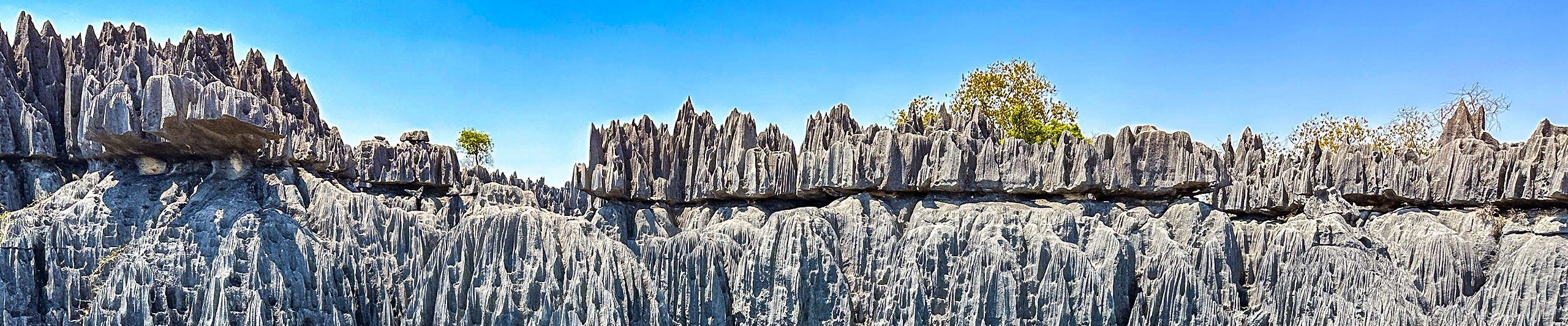 Tsingy de Bemaraha Stone Forests