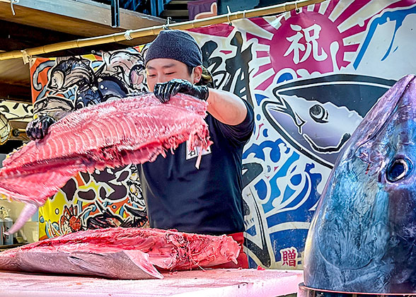 Tuna cutting performance