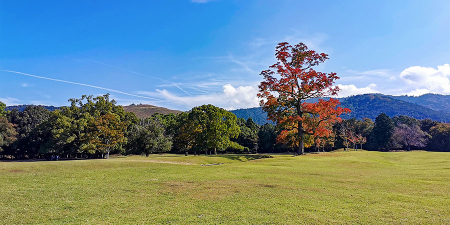 Colorful Autumn in Uzbekistan