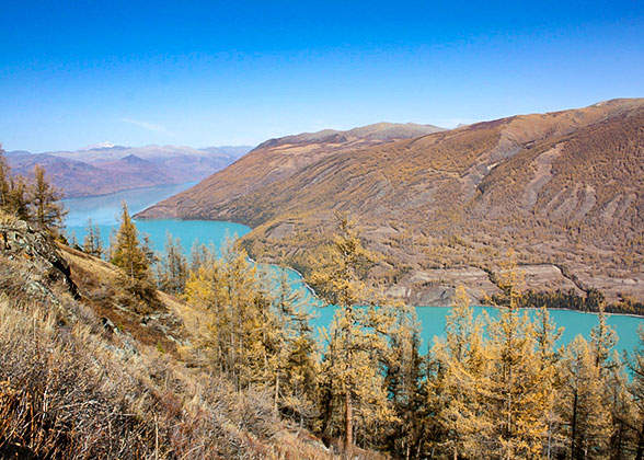 Uzbekistan's Autumn in November