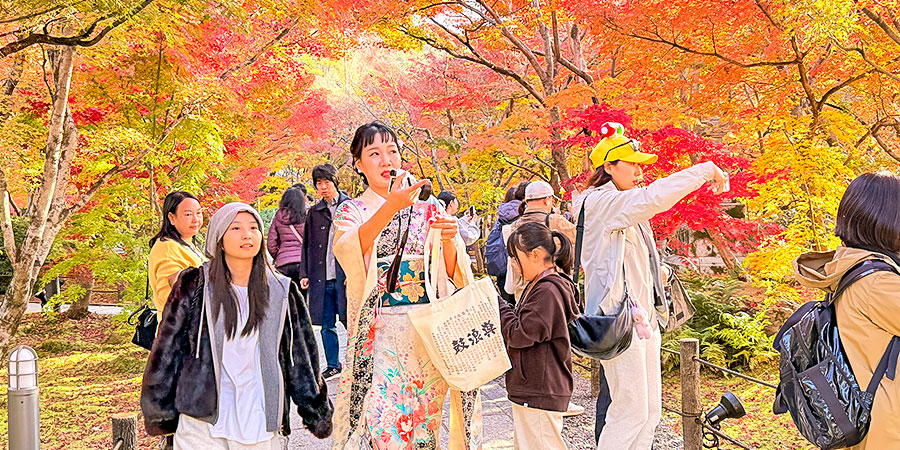 Vibrant Autumn of Sendai