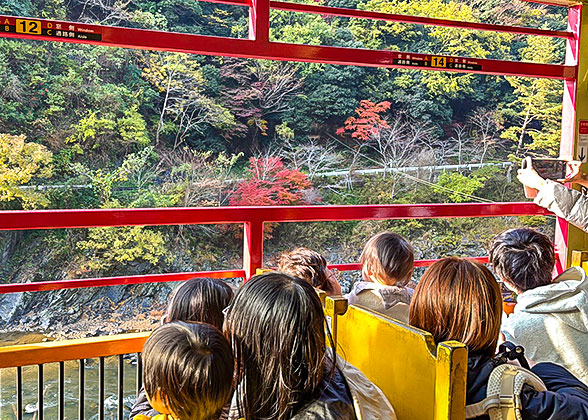 View from inside the sightseeing train