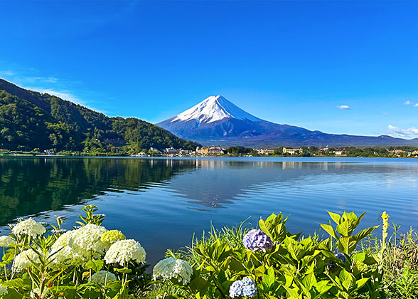 Mount Fuji, Tokyo