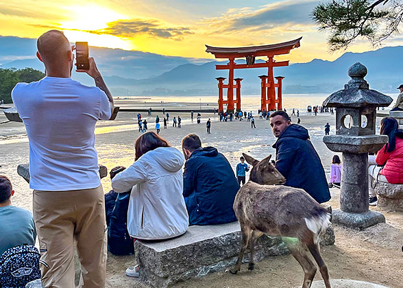 Visit Itsukushima shrine