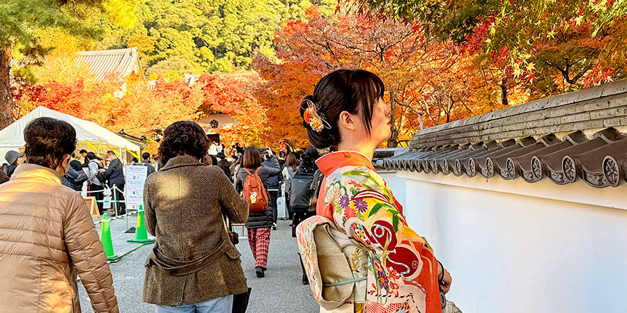 Visit Sendai in November