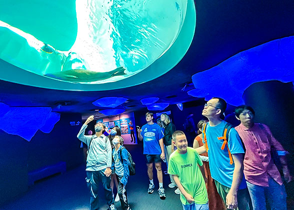 Visitors at the Osaka Aquarium Kaiyukan