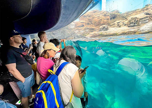 Visitors in front of the display case