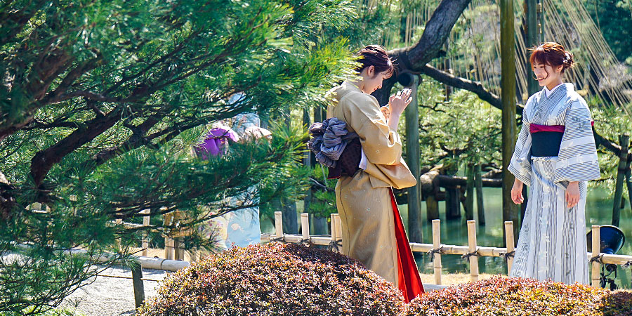 Tourists in Maizuru Park Tourists in Maizuru Park