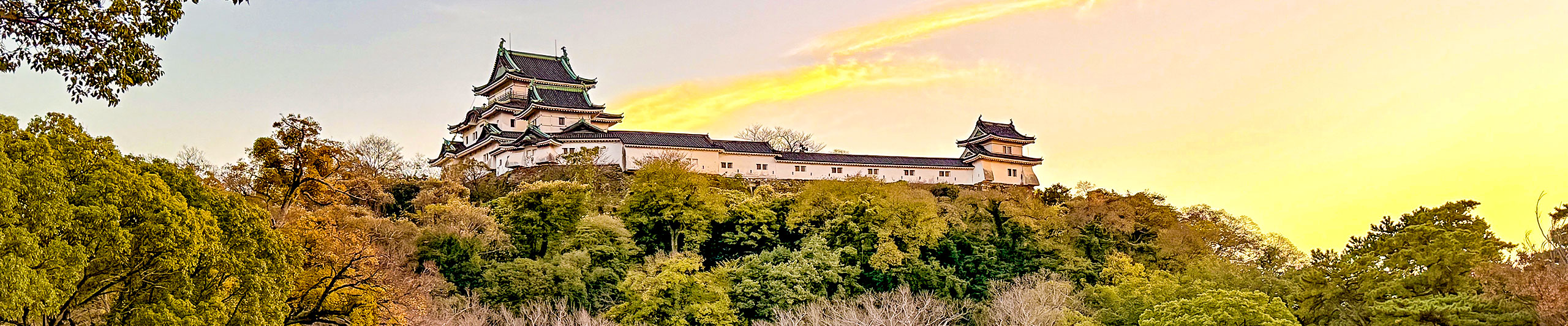 Wakayama Castle in Autumn Wakayama Castle in Autumn