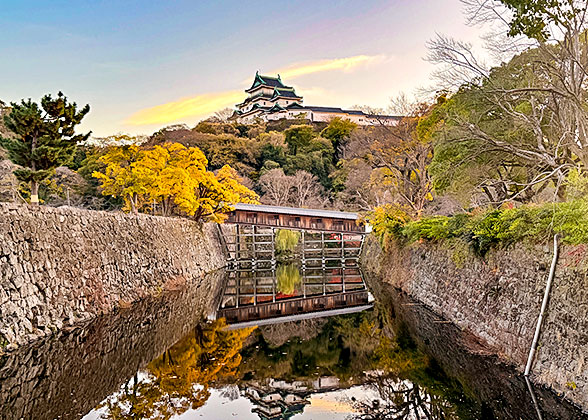 Wakayama Castle in November