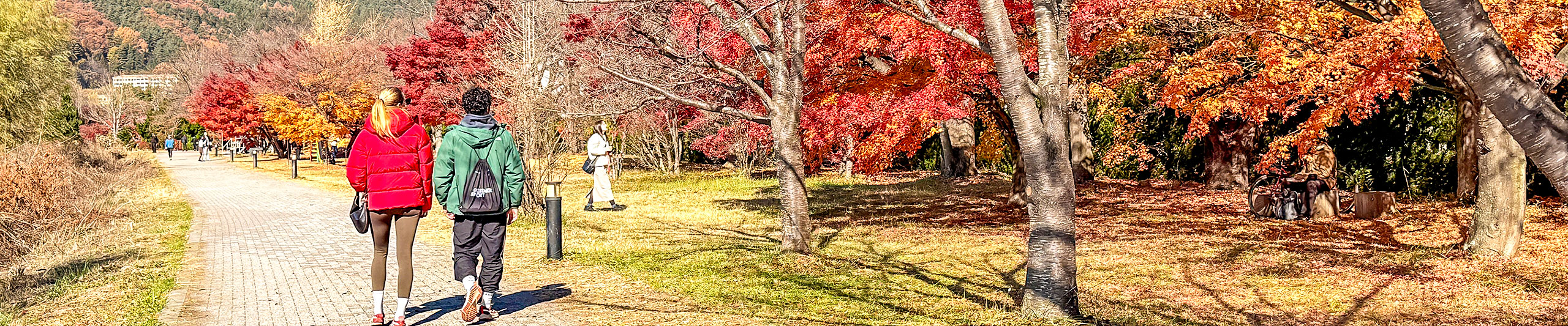 Wakayama Climate Wakayama Climate