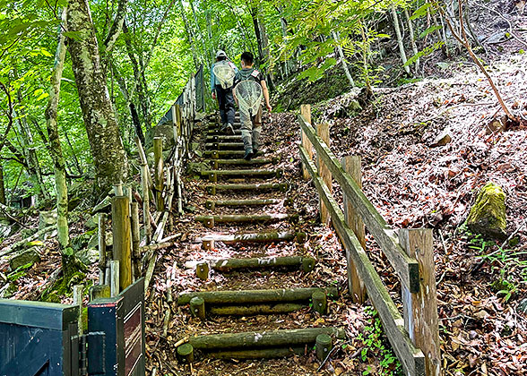 Hiking in the Mountains