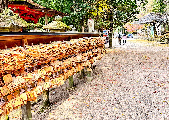 Wishing plaques hung by tourists