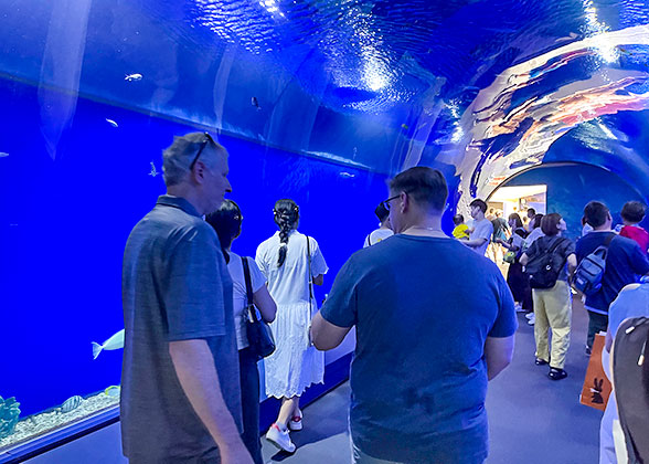 Tourists Visiting the Aquarium in Yokohama