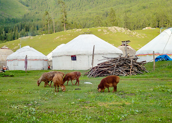 Yurts in Turkmenistan