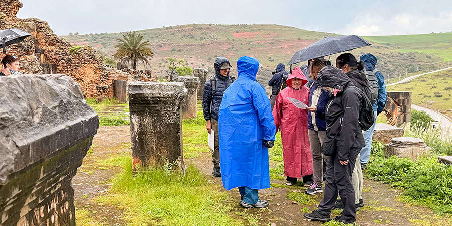 Algeria Weather in November