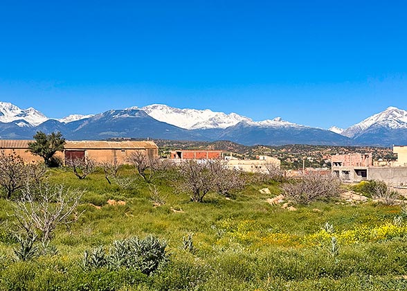 Snow-peaked Mountains in Algiers Suburbs