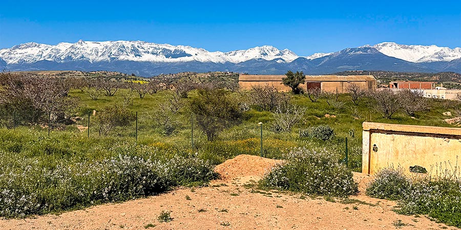 Snow-capped Mountains in January