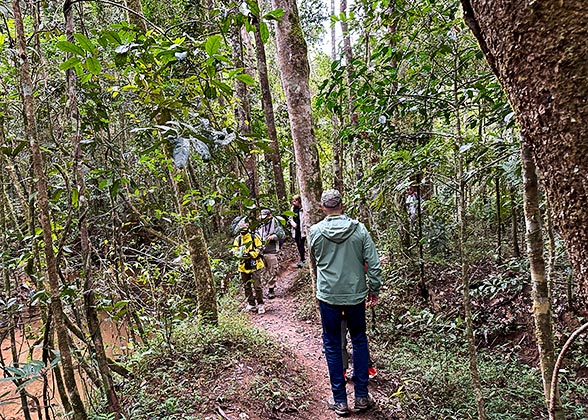 Amazon Rainforest