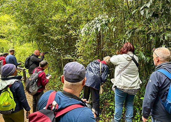 Our Guests in Amazon