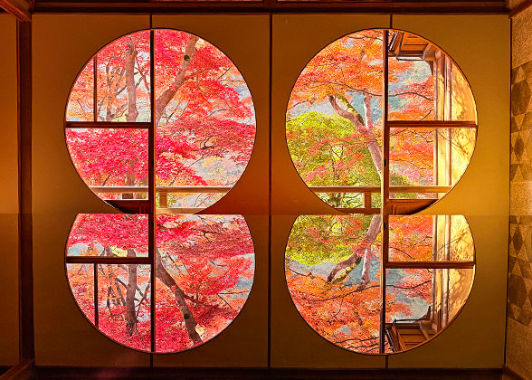Foliage View in Arashiyama Yusai-tei