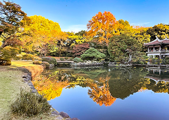 Shukkeien Garde in Autumn
