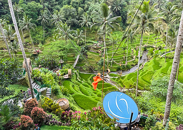 Tegalalang Rice Terraces