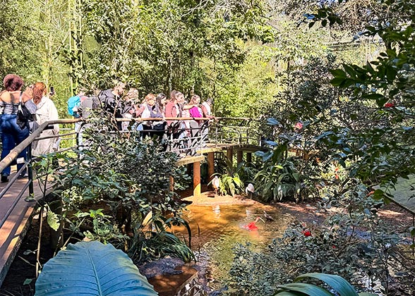 People Observing Unique Birds, Bird Park