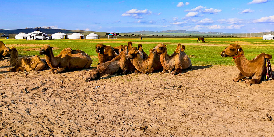 Bright Sunshine in July