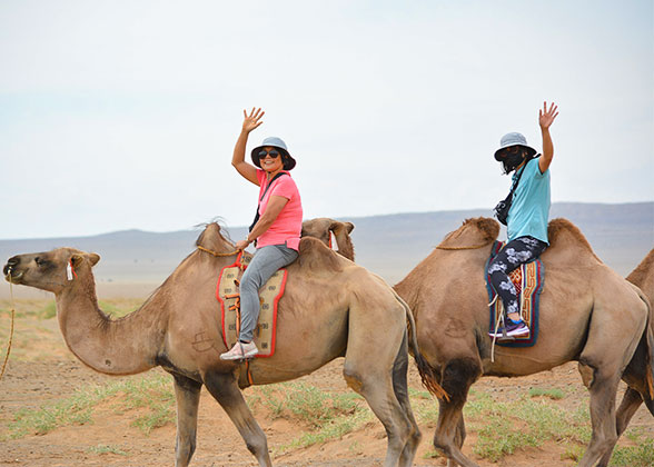Camel Ride Experience