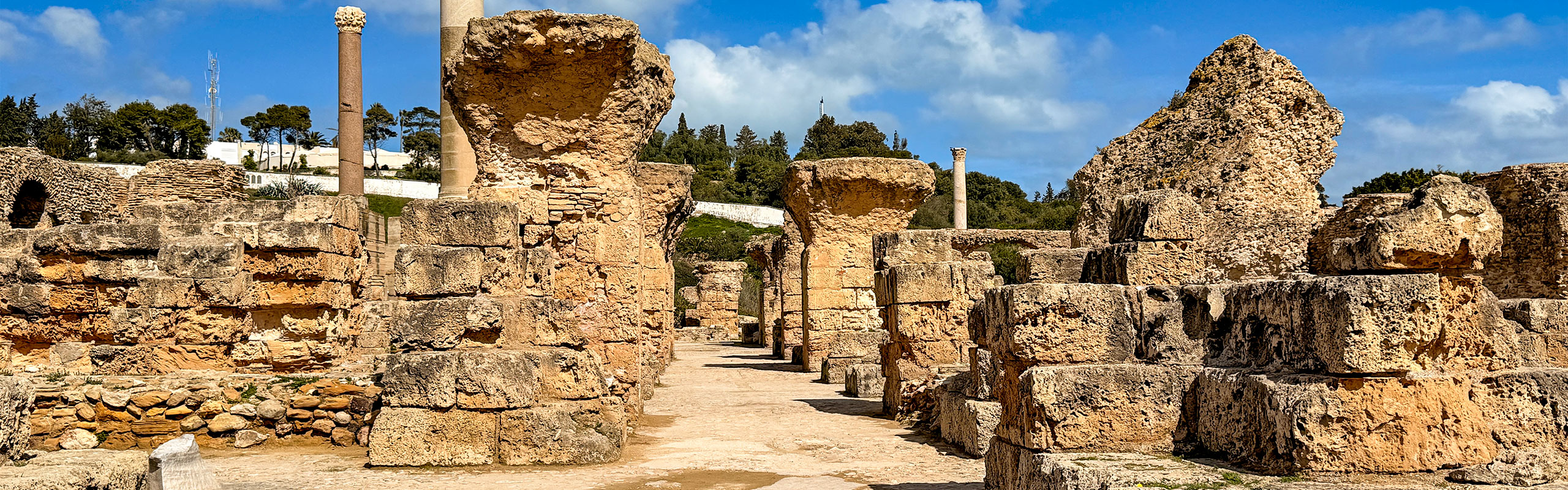 Archaeological Site of Carthage
