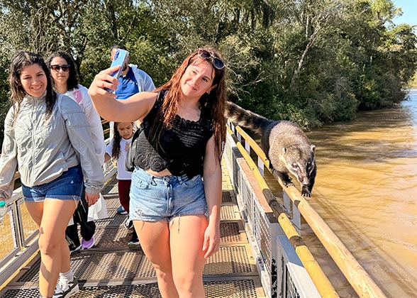 Our Guest Posing with a Coati, Iguazu Falls