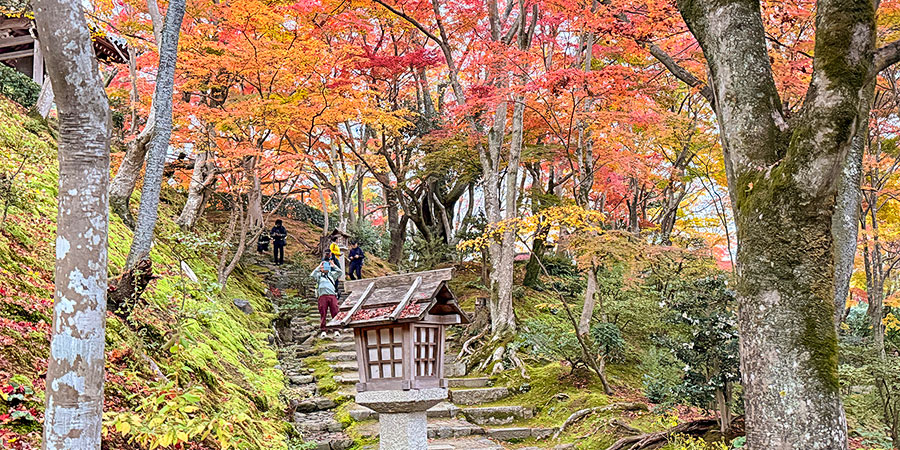 Colorful Autumn in Hiroshima