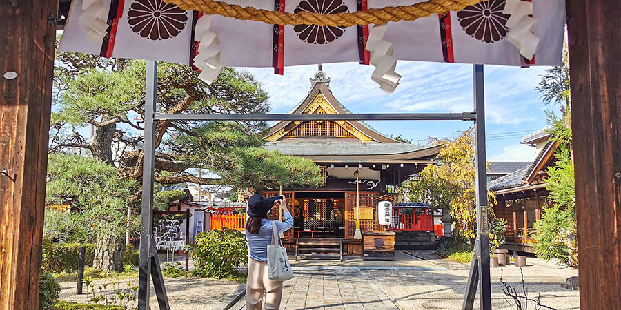 Cool and Beautiful October