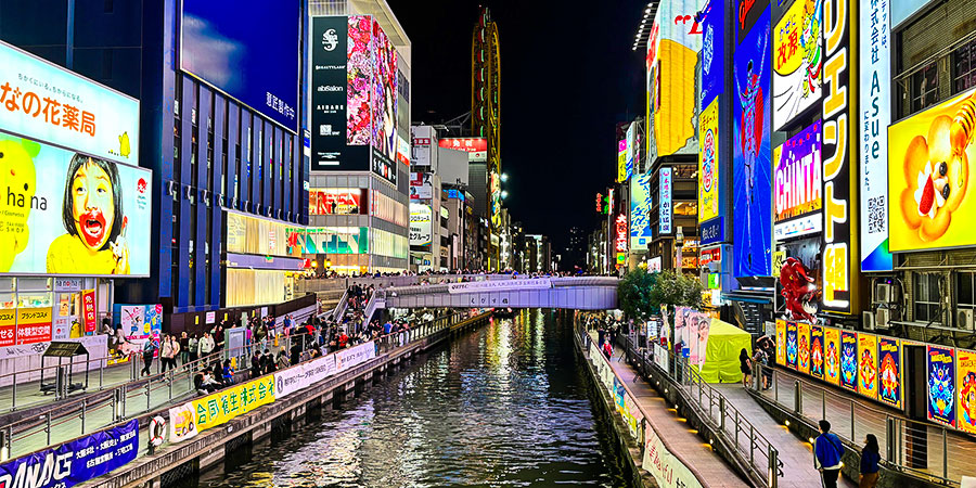 Fantastic Night in Dotonbori