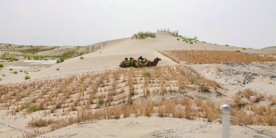 Dusty Days in Ulaanbaatar