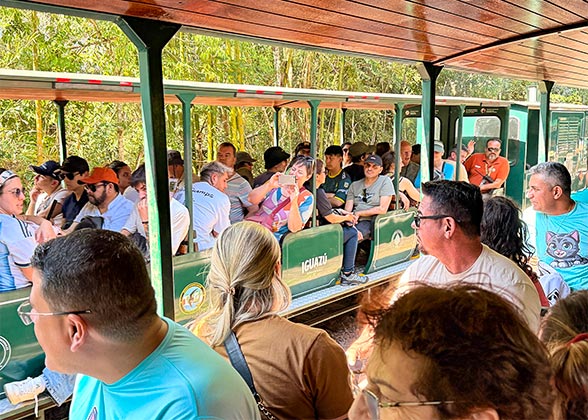 Eco-Train, Iguazu Falls of Argentine Side