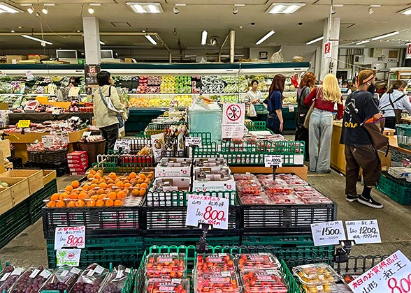 The Fruit Shops in Asaichi Market