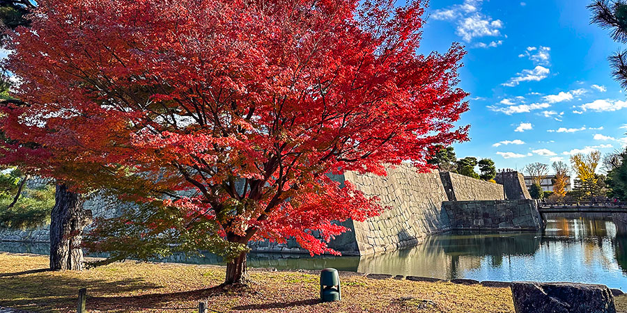 Fukuoka Castle in Autumn