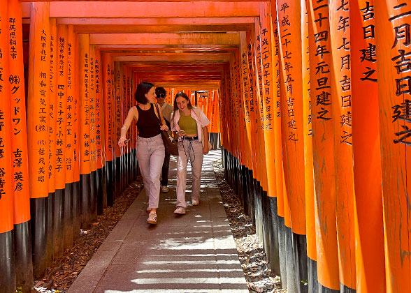 Walk through Torii Gates in Fushimi Inari Taisha