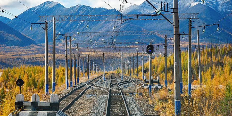 Golden Mongolia in Early October