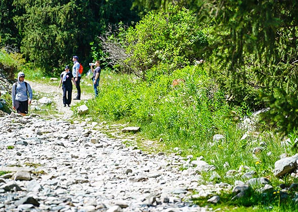 Hiking Scenery, El Chalten 