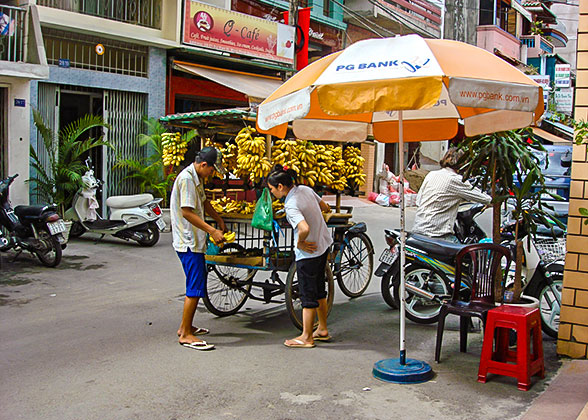 Saigon Street Fruit Stall