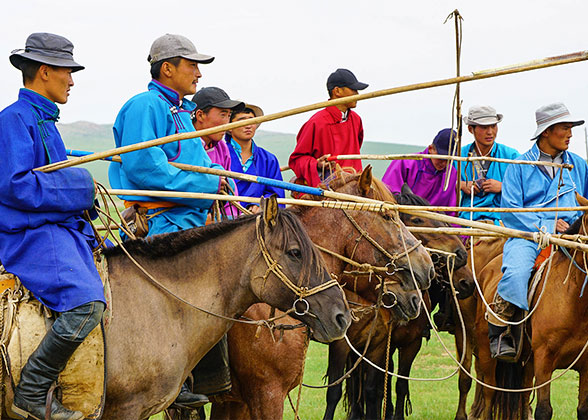 The Horse Racers
