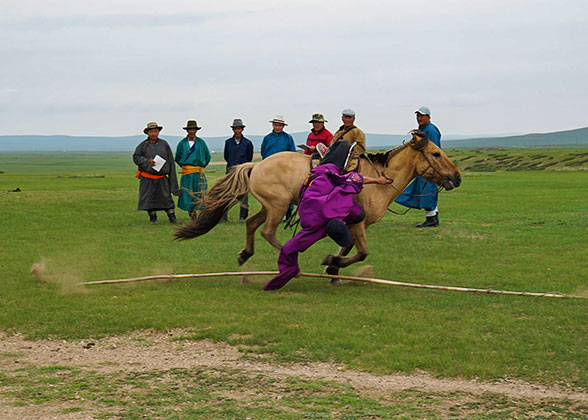 The Exciting Horse Racing