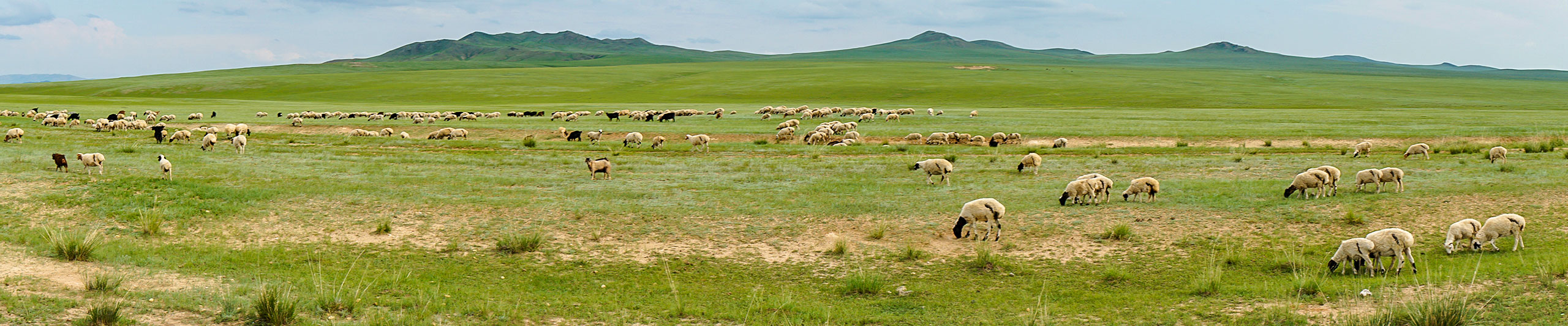 Best Time to Visit Hustai National Park Best Time to Visit Hustai National Park
