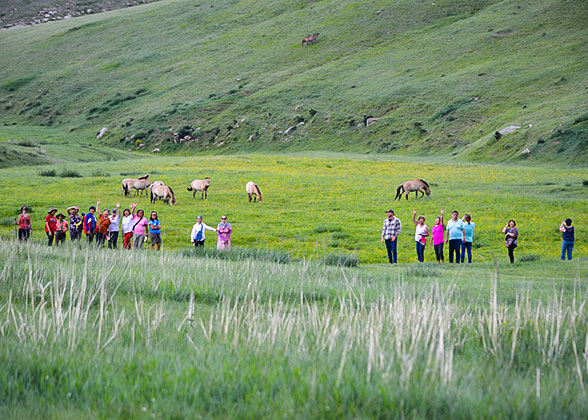 Hustai National Park