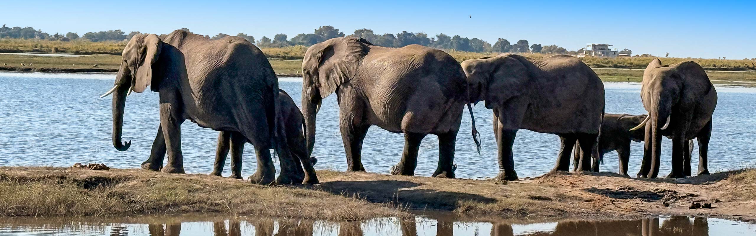 Hwange National Park
