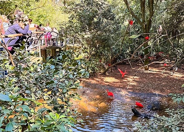 Iguazu Bird Park